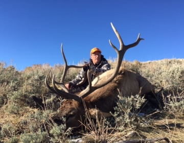 SNS OUTFITTER BULL ELK WYOMING 2017 6